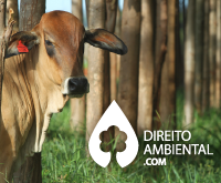 direito-ambiental-thumb-49