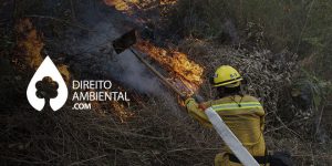Decreto Federal aumenta sanções ambientais por fogo em áreas rurais