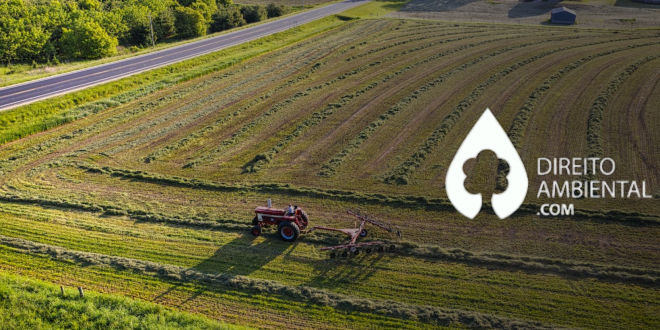 A vitimização do produtor de orgânico (o processo de ser vitimizado ou se tornar uma vítima): aquele que sofre impactos negativos, físicos, emocionais ou financeiros diretos ou ameaças como resultado de um ato de outras pessoas, não parece ser um bom caminho. Buscar produtividade e lucratividade maiores é um dos principais objetivos do produtor de orgânico.