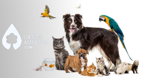 Seguindo algumas tendências jurídicas internacionais, o judiciário brasileiro tem discutido cada vez mais questões a respeito da capacidade jurídica dos animais. Em síntese, o debate em questão consiste na discussão quanto à aptidão dos animais para adquirirem e gozarem de seus direitos.