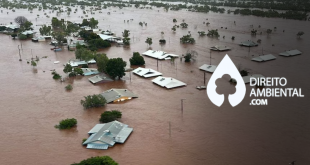 Darwinismo Climático: Adaptação já