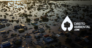 Responsabilidade Civil da União pelas Enchentes no Rio Grande do Sul
