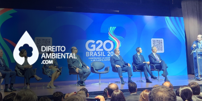 G20